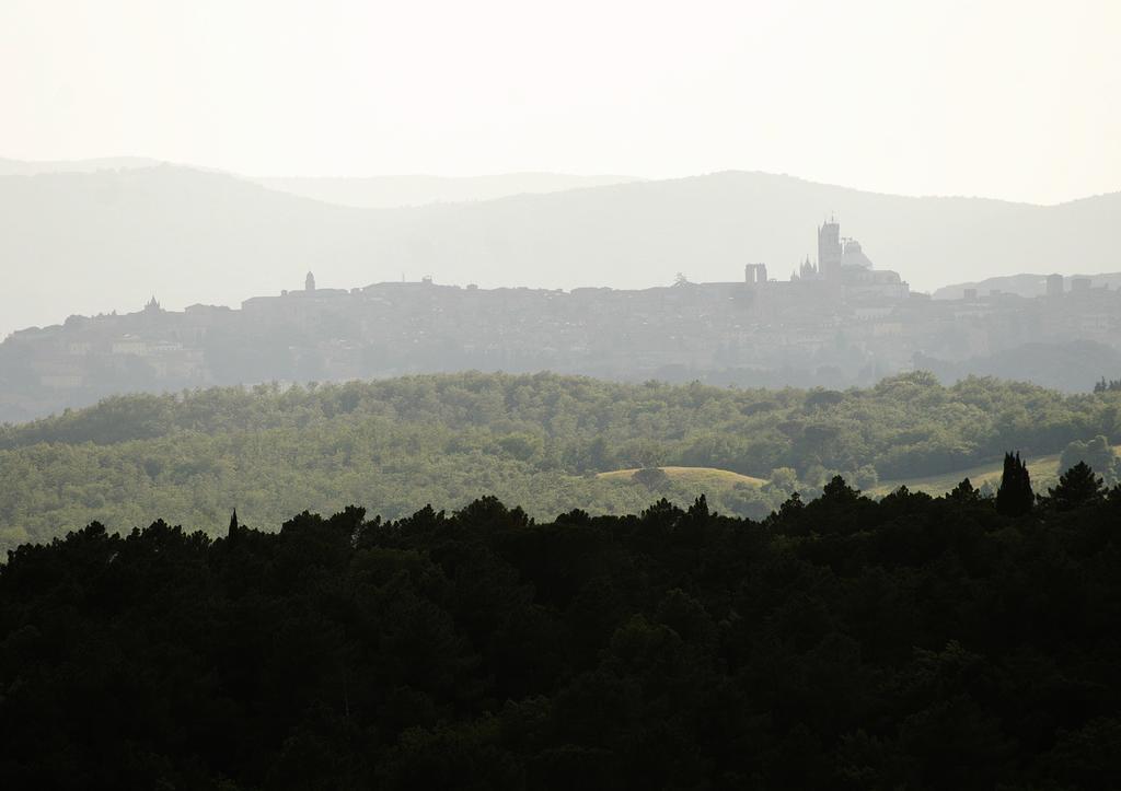 Residence Castello Di Orgiale Castelnuovo Berardenga Dış mekan fotoğraf